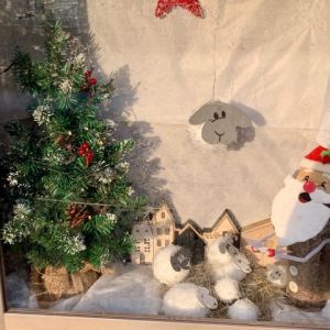 adventskasten 2022 adventskasten 2022