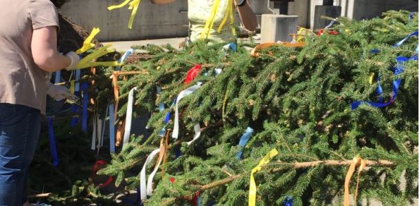 efeb6a48 716a 4df3 bcdbcccb6f84e8