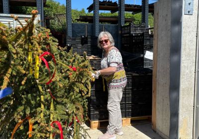 Maibaum – Eine bunte Tradition