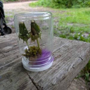 image12